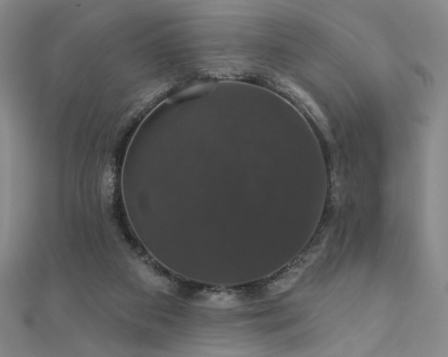 X0000110700113200906121342