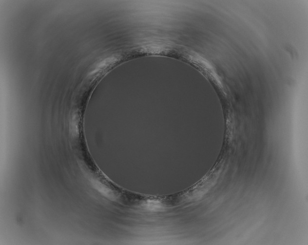 X0000110700114200906121342