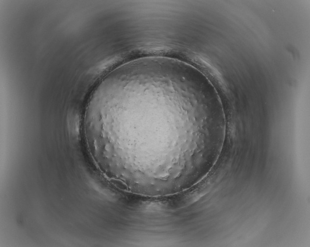X0000110700115200906121342