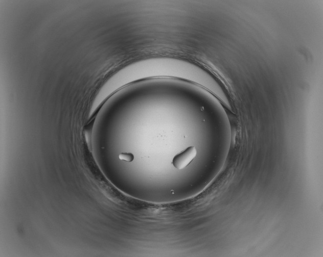 X0000110700117200906121342
