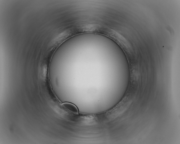 X0000110700118200906121342