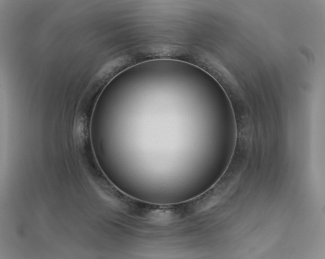 X0000110700119200906121342