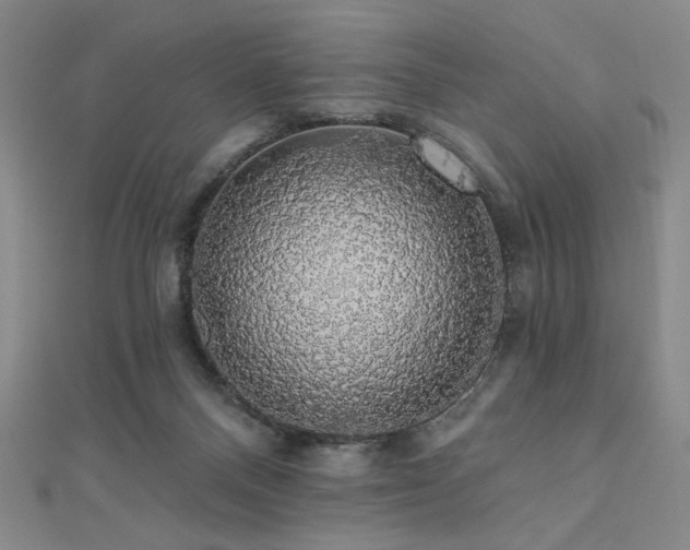 X0000110700120200906121342