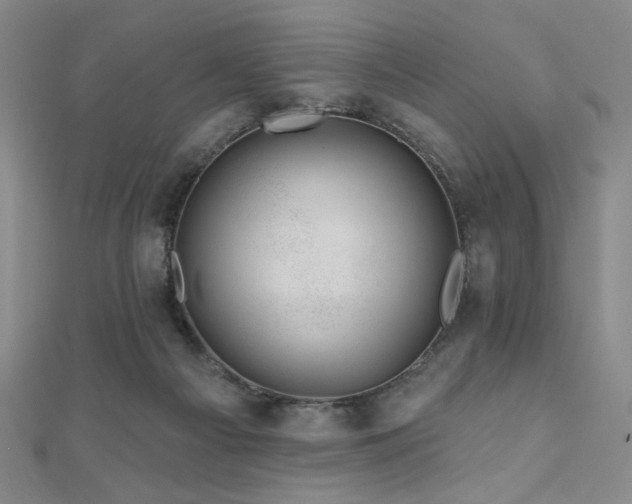 X0000110700121200906121342