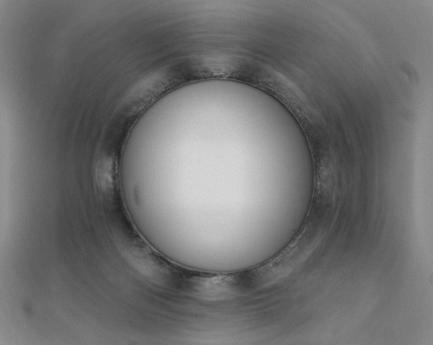X0000110700122200906121342