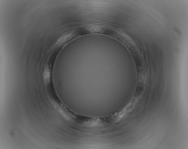 X0000110700124200906121342
