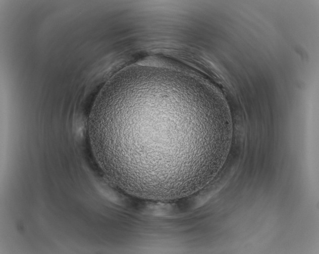 X0000110700125200906121342