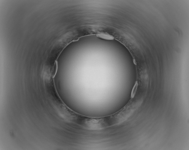X0000110700129200906121341