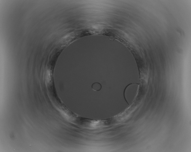 X0000110700130200906121341