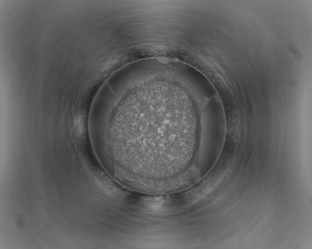 X0000110700131200906121341