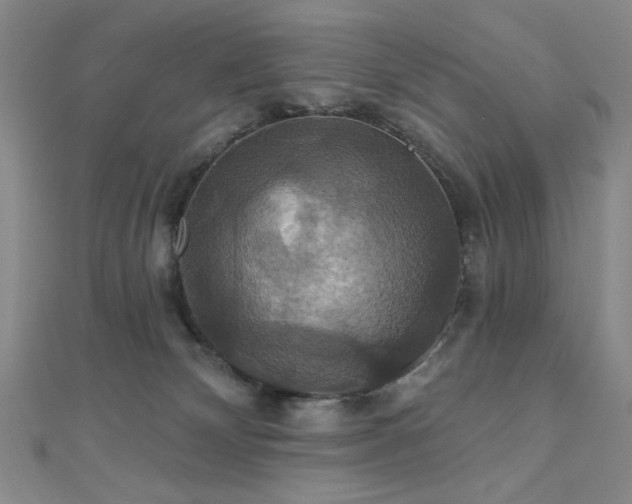 X0000110700132200906121341