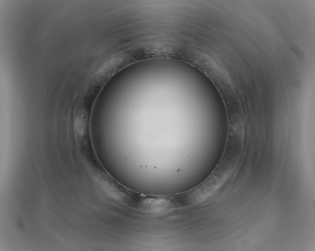 X0000110700133200906121341