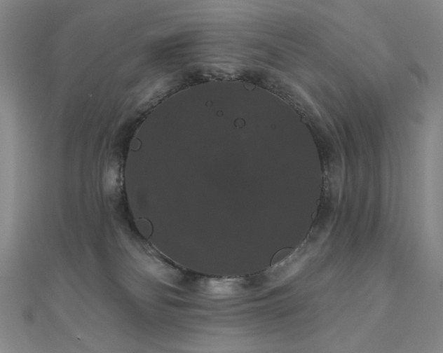 X0000110700134200906121341