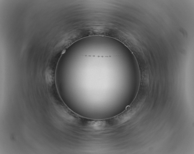 X0000110700135200906121341