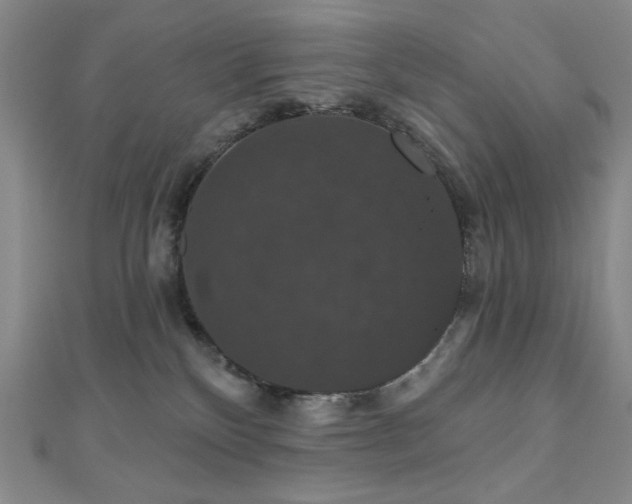 X0000110700136200906121341