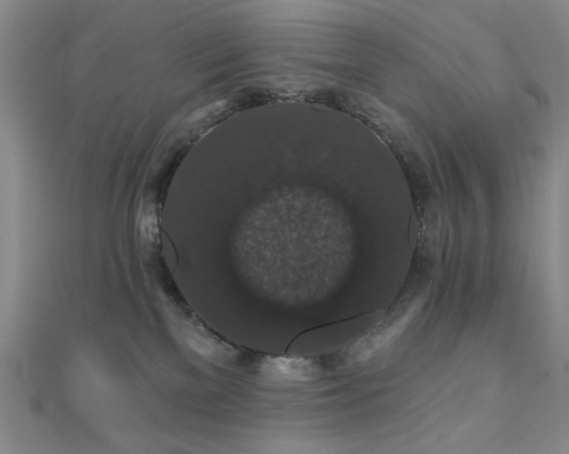 X0000110700137200906121341