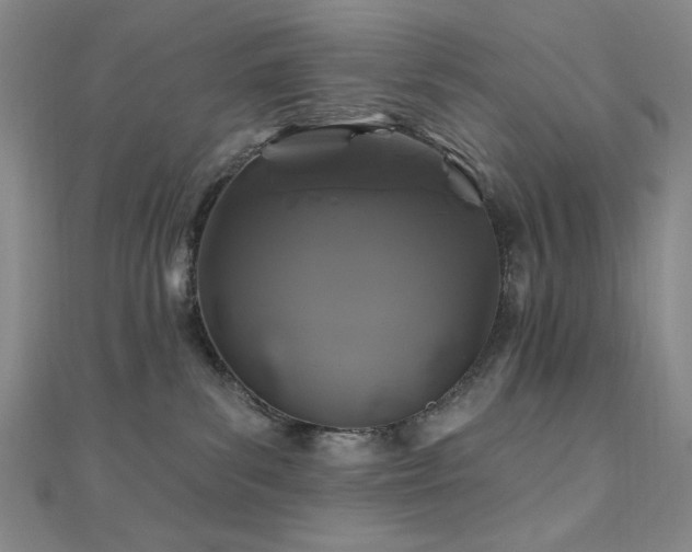 X0000110700139200906121341