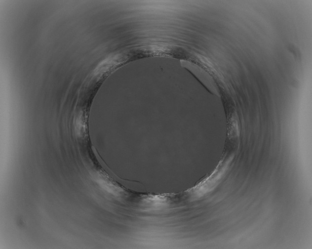X0000110700140200906121341