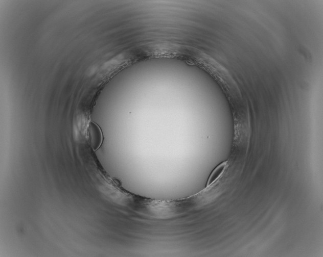 X0000110700142200906121341