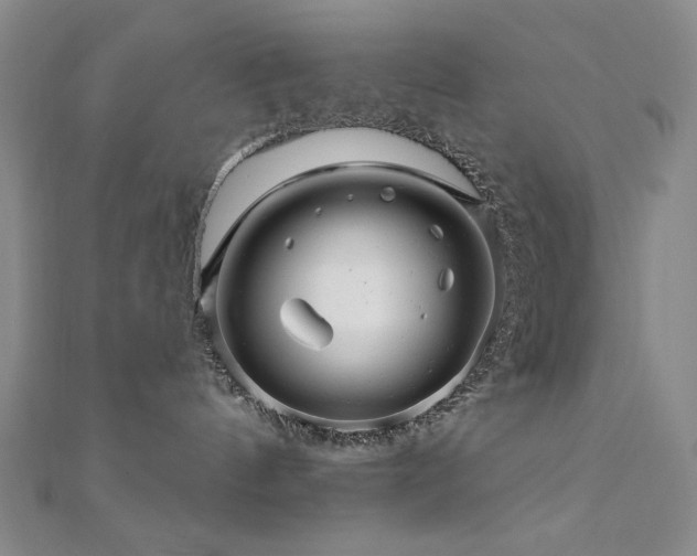 X0000110700144200906121341