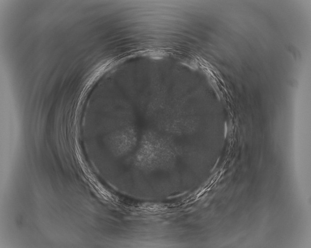 X0000110700145200906121341