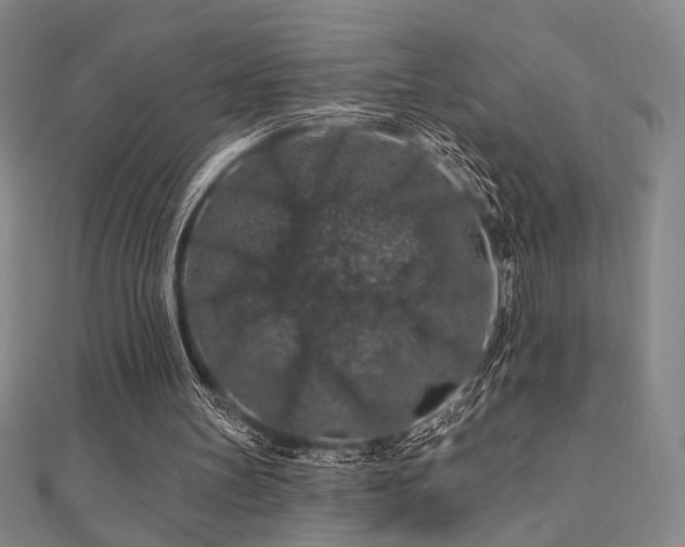 X0000110700147200906121341