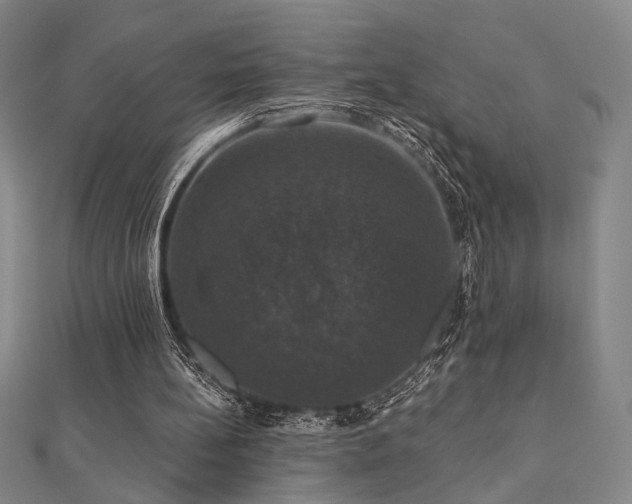 X0000110700148200906121341