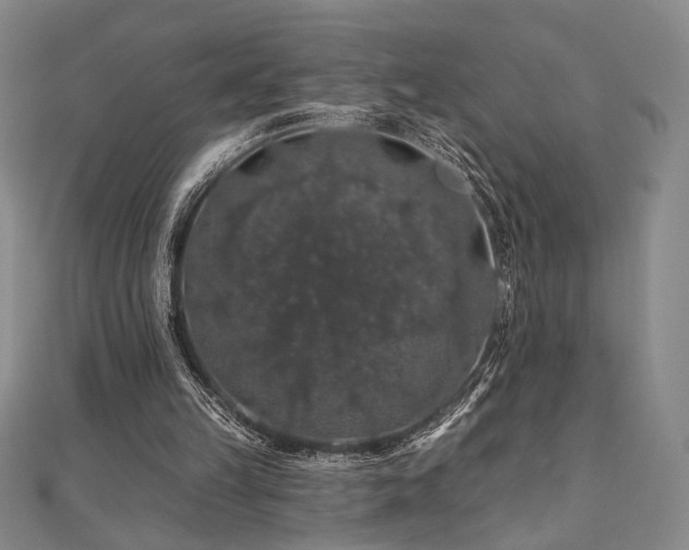 X0000110700149200906121341