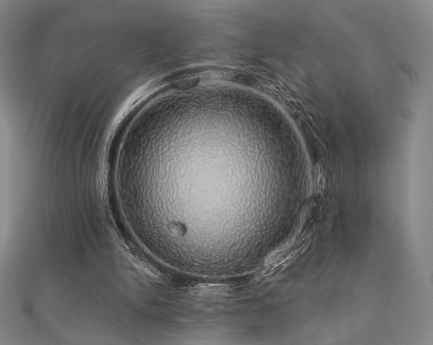 X0000110700150200906121341