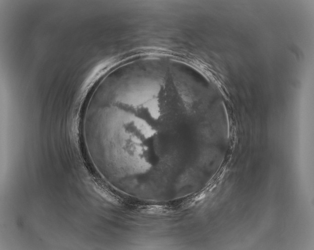 X0000110700151200906121341