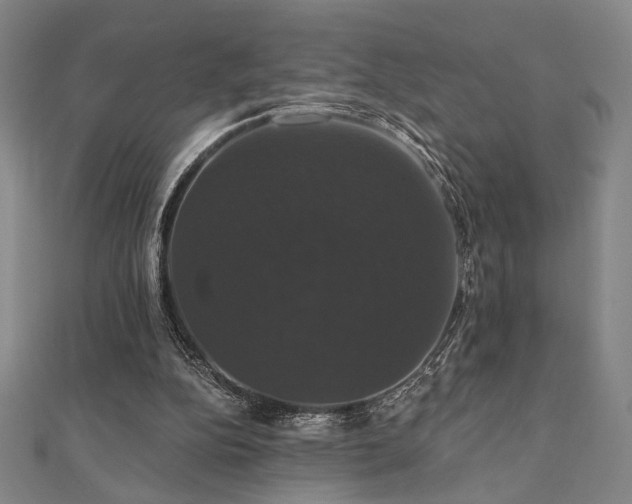X0000110700152200906121341