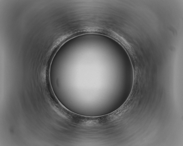 X0000110700155200906121341