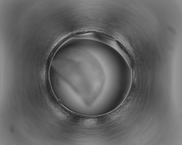 X0000110700156200906121341