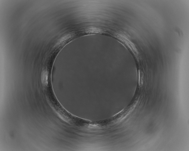 X0000110700157200906121341