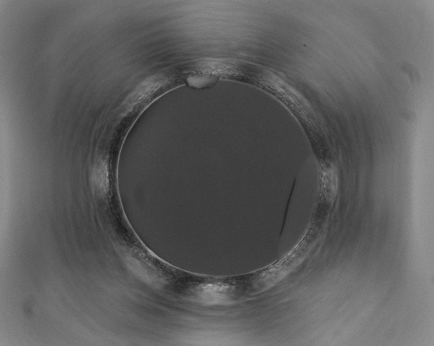 X0000110700158200906121341