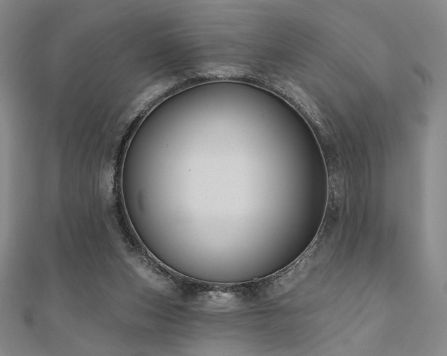X0000110700159200906121341