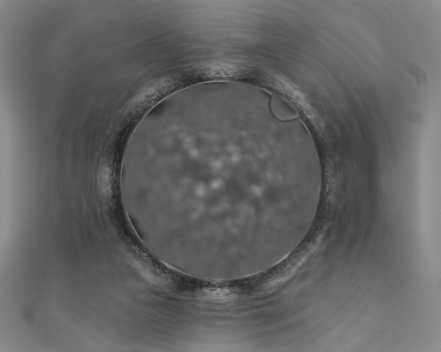 X0000110700161200906121341