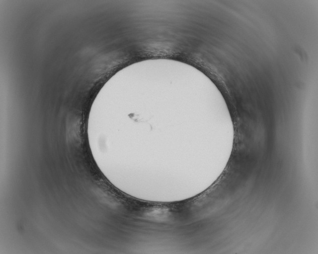 X0000110700162200906121341