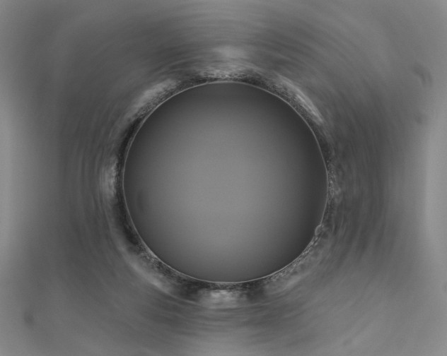X0000110700163200906121341