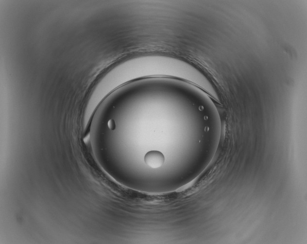 X0000110700164200906121341