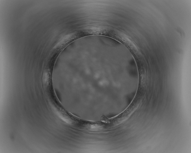 X0000110700165200906121341