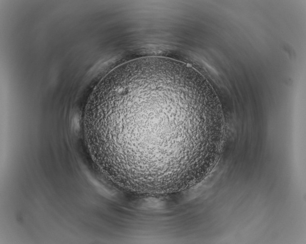 X0000110700166200906121341
