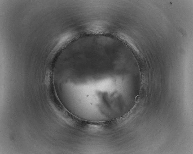 X0000110700167200906121341