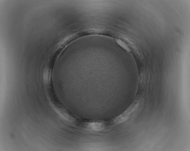 X0000110700168200906121341