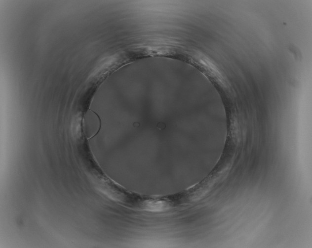 X0000110700169200906121341