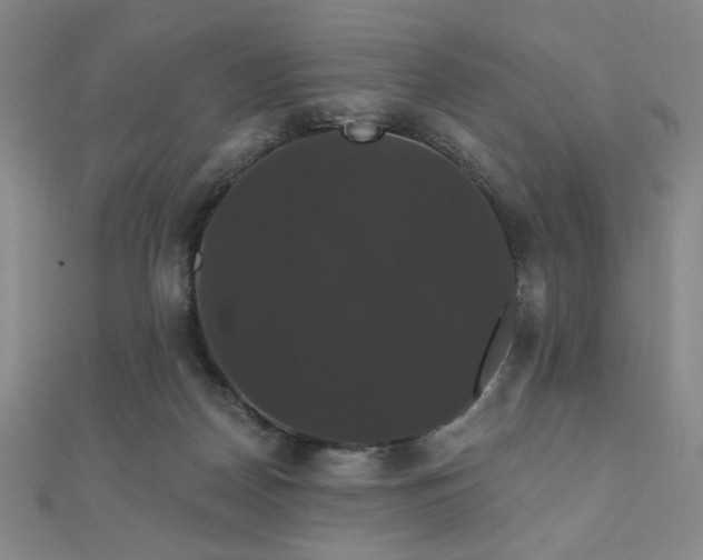 X0000110700170200906121341