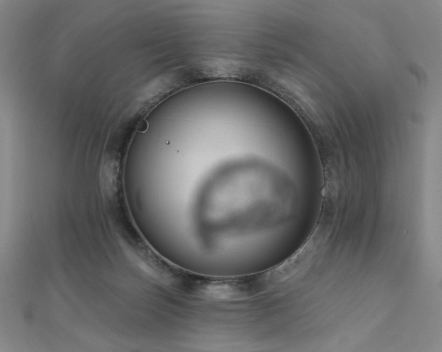 X0000110700171200906121341
