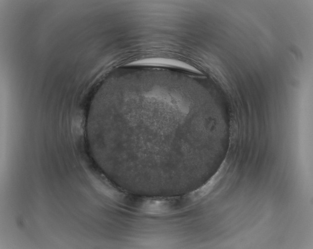 X0000110700174200906121341