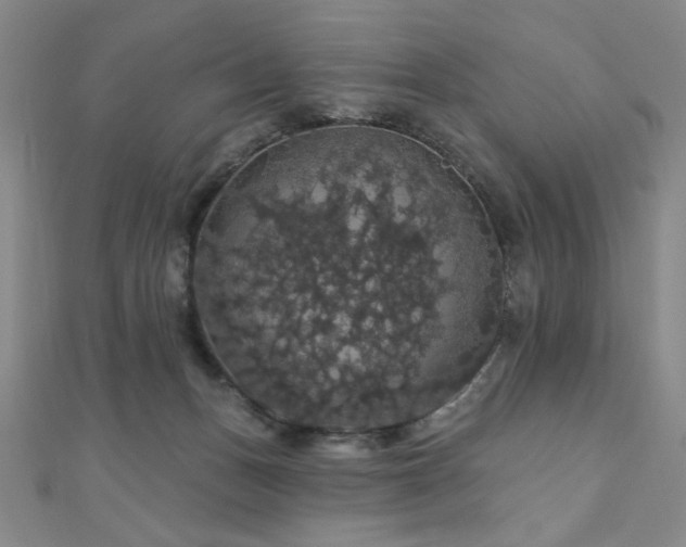X0000110700175200906121341