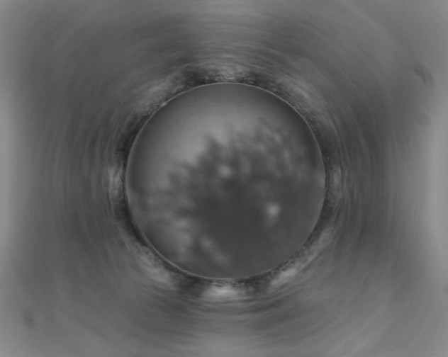 X0000110700177200906121341